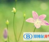 南充2022年中考填志愿的网站