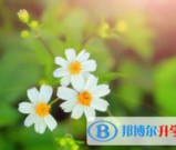 泸州2021年中考志愿填报