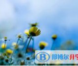 南充2022年中考听力