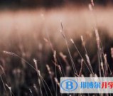 绵阳2022年中考志愿填报技巧