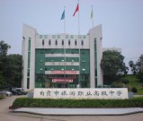 自贡市旅游职业高级中学是民办学校还是公办学校