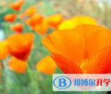 绵阳2022年中考踩线生如何填志愿