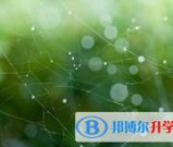 南充2022年中考调招