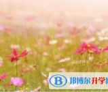 绵阳2022年中考志愿如何填报