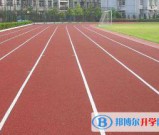 四川金阳中学2021年招生代码