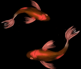 泸州市交通技工学校2025年招生简