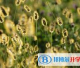 绵阳2022年中考志愿填报