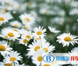 泸州2021年中考志愿能不能修改