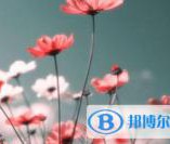 2021年凉山中考录取时间