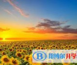 泸州2021年中考志愿如何填报