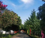 成都读卫校需要多少钱，学费包括哪些？