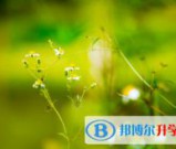 泸州2021年中考踩线生如何填志愿