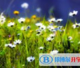 泸州2021年中考志愿怎么填