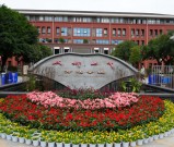 成都七中万达学校2025年高中项目班（科技创新班、足球预备队）、艺体特长生招生计划来了！