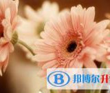 2021年凉山中考录取线