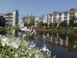 1569783375869211.jpg 1569783375869211.jpg