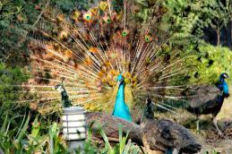 1569783375938533.jpg 1569783375938533.jpg