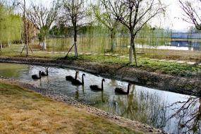 1569783376007810.jpg 1569783376007810.jpg