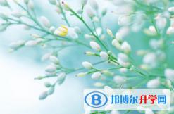 泸州2021年中考志愿怎么录取