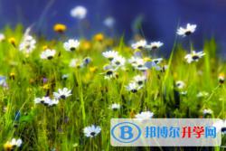 泸州2021年中考志愿怎么填