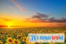 泸州2021年中考志愿如何填报