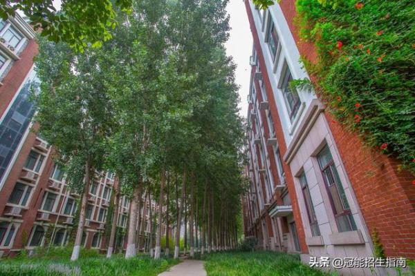 成都公办中专学校有哪些(成都的公办中专学校)