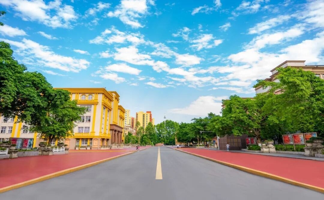 校园大道与绿化景观